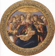 Sandro Botticelli Madonna and Child with six Angels or Madonna of the Pomegranate (mk36) Spain oil painting artist